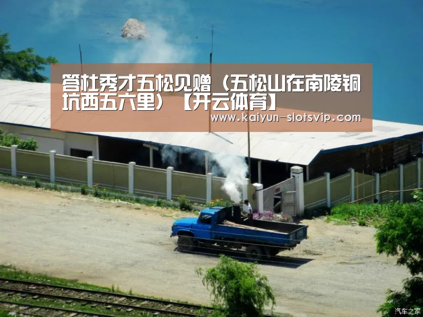 答杜秀才五松见赠(五松山在南陵铜坑西五六里)【开云体育】(图1) 开云篮球