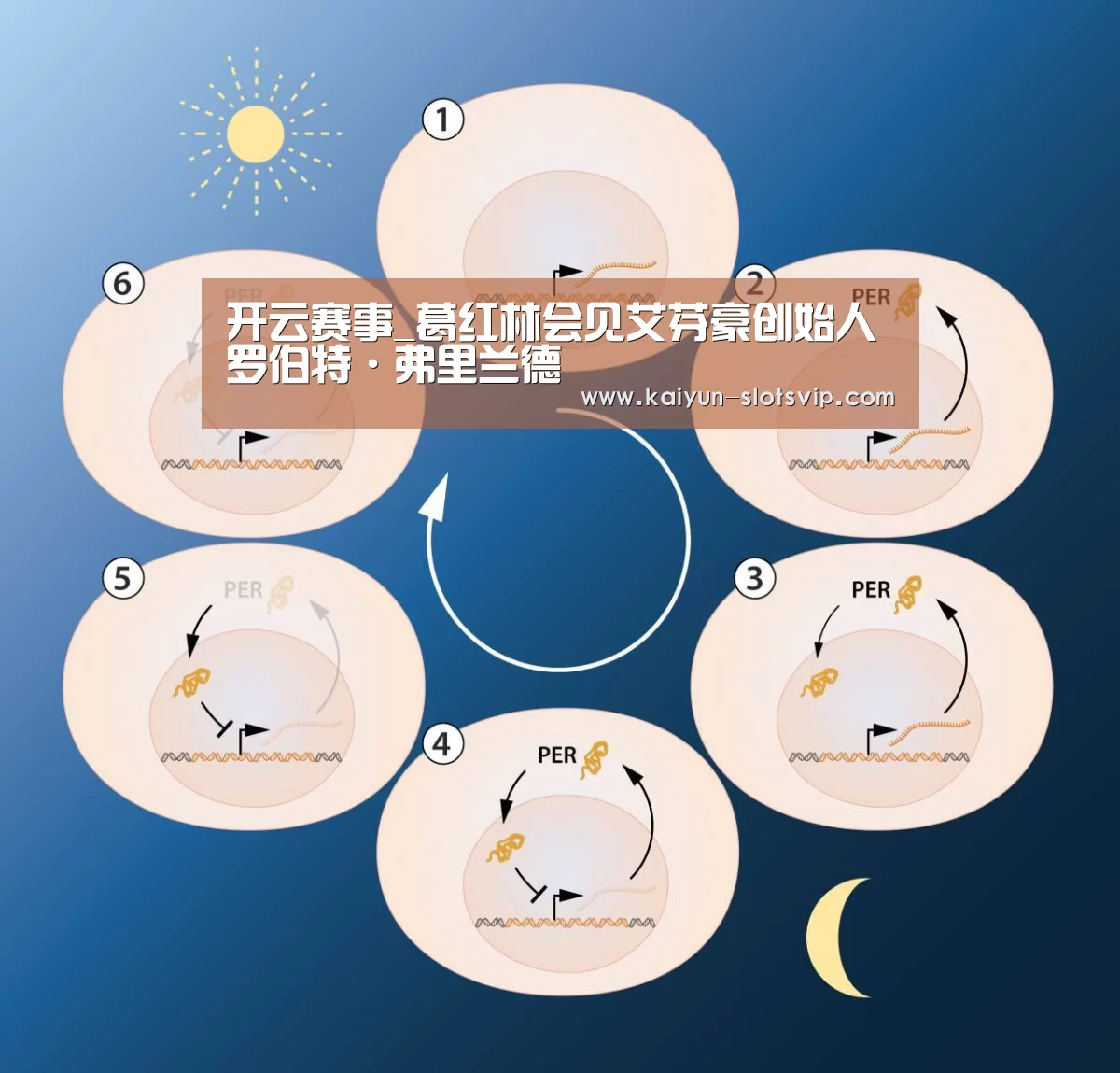 开云足球