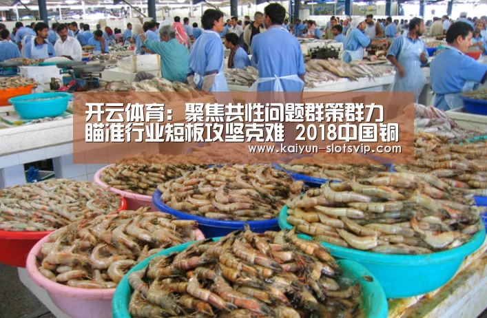 开云体育:聚焦共性问题群策群力 瞄准行业短板攻坚克难 2018中国铜产业链发展高峰论坛召开(图2) 开云体育