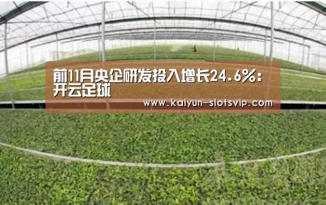 前11月央企研发投入增长24.6%:开云足球(图3) 开云体育