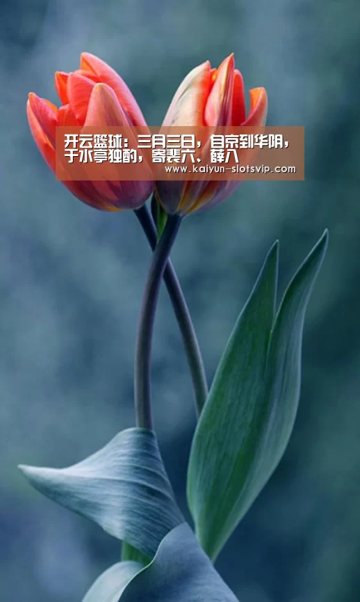 开云篮球:三月三日,自京到华阴,于水亭独酌,寄裴六、薛八(图2) 开云足球